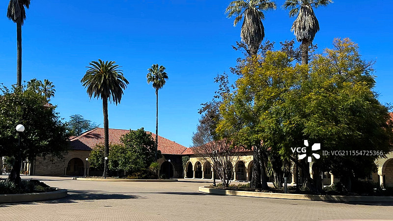 斯坦福大学图片素材