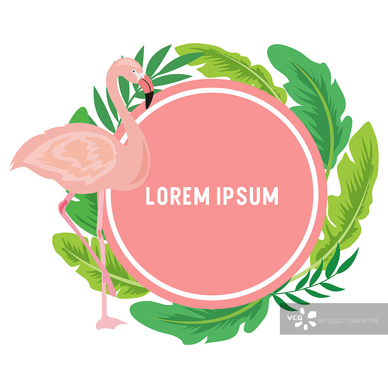 美丽的圆形热带叶子框架与火烈鸟图片素材