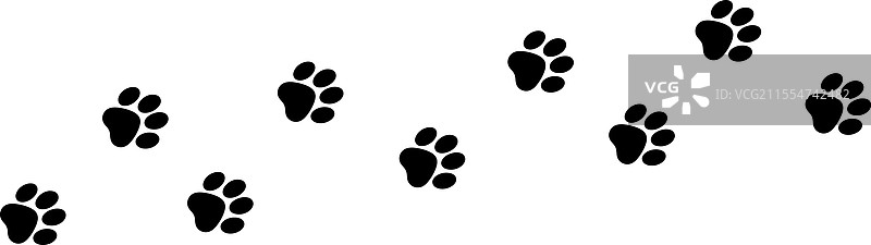 自然中狗和猫的爪印小径图片素材