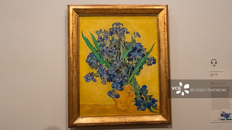 欧洲荷兰阿姆斯特丹梵高博物馆里梵高代表作品油画图片素材