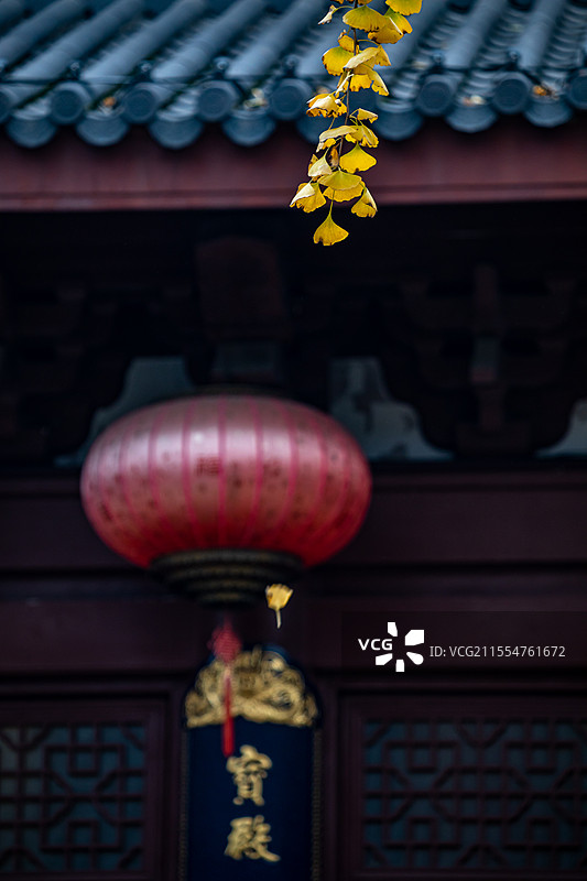 浙江杭州西湖灵隐永福禅寺大雄宝殿福星门秋色秋天的银杏树景观图片素材