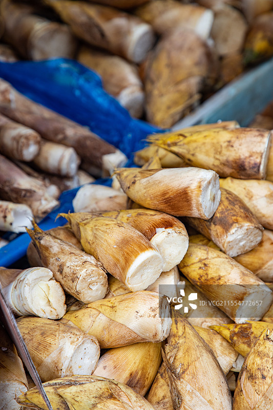 时令蔬菜新鲜蔬菜野菜春天美食时令时蔬蚕豆春笋南瓜香椿芦笋茼蒿蒜苔萝卜苦瓜空心菜黄瓜家常蔬菜节气风物图片素材