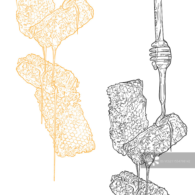 线条艺术风格的蜂巢和滴蜜的蜜杖图片素材