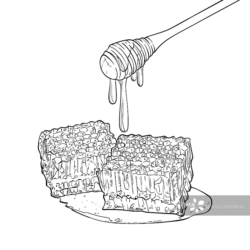 黑色线条艺术风格的蜂蜜和蜂巢图案，独立展示图片素材