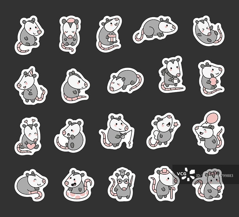 可爱的卡哇伊袋鼠浣熊套装图片素材