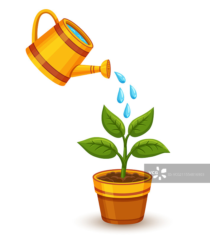 绿色花卉植物的浇水壶和生长盆栽图片素材