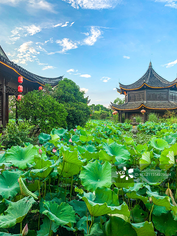 宁波梁祝文化园图片素材