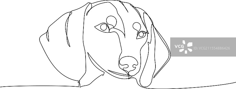 短毛腊肠犬品种图片素材