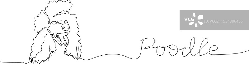 贵宾犬品种伴侣犬一笔画图片素材