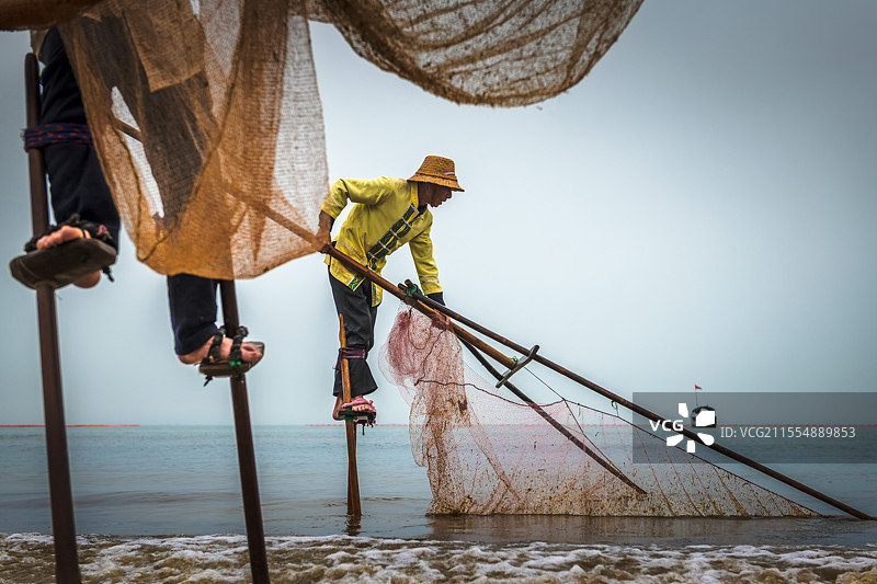 广西京族人传统的捕虾法——高跷捞虾图片素材