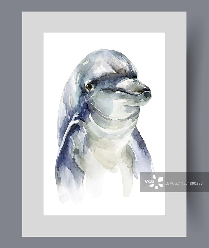 友好的海洋或海里的海豚鱼图片素材