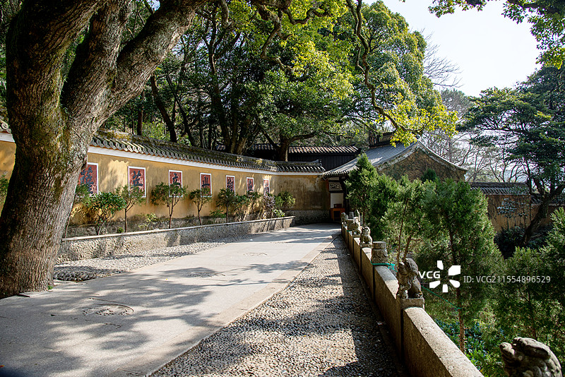 普陀山自然风光图片素材