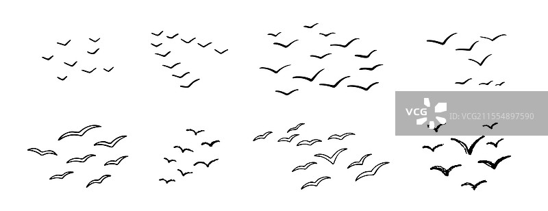 天空中飞翔的鸟群线条，墨水风格的粗糙效果图片素材