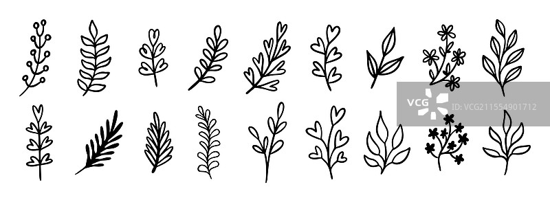 可爱的现代手绘叶子涂鸦图标集图片素材