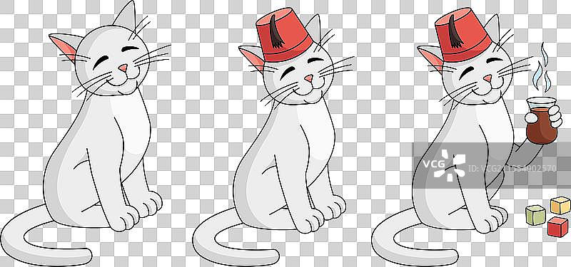 土耳其安哥拉猫穿着的土耳其安哥拉套装图片素材