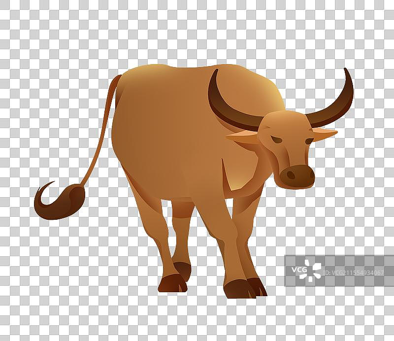 小牛插画元素图片素材