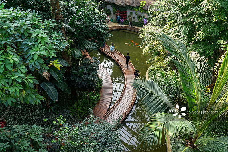 中国惠州惠州植物园温室科普馆图片素材