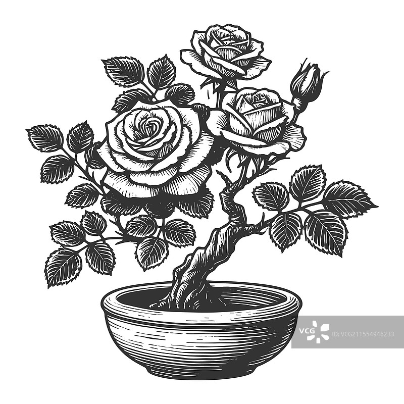 玫瑰盆栽雕刻图片素材