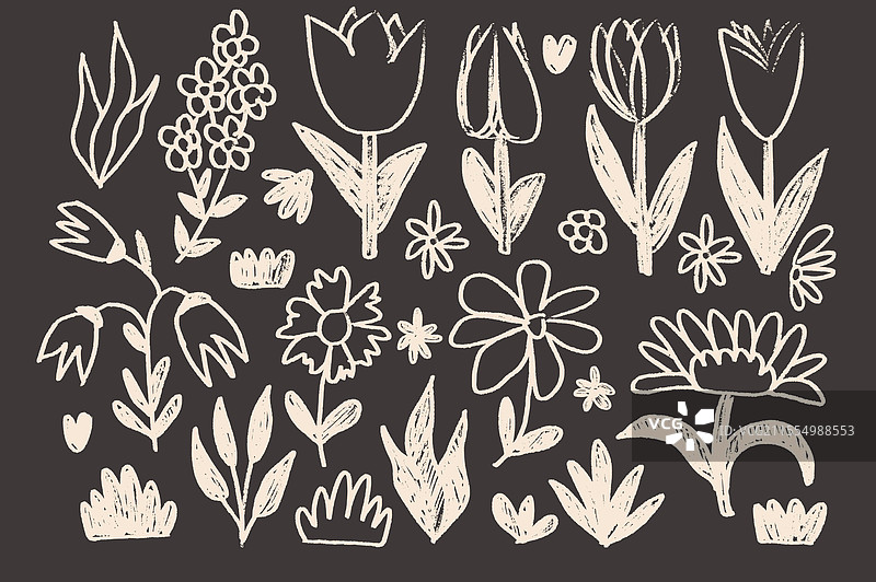 学校的粉笔画花卉和叶子套装图片素材