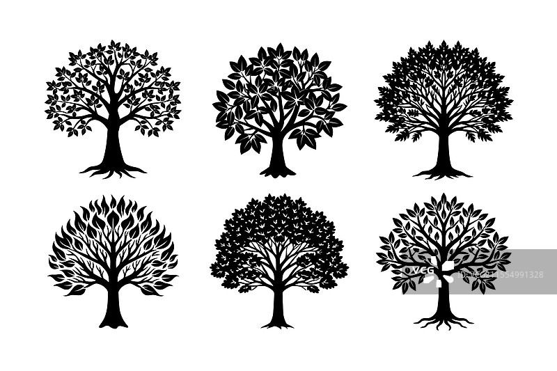 一套巴洛圣木、红木、柚木、杏仁和阿尔朱纳木材图片素材