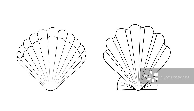 黑白贝壳剪影，扇贝图片素材