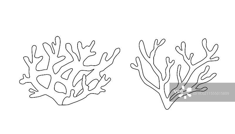 黑白海洋珊瑚剪影图片素材
