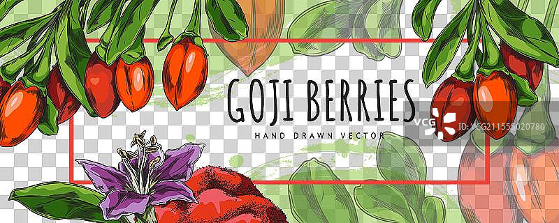 带有枸杞和花朵的横幅，附有文字图片素材