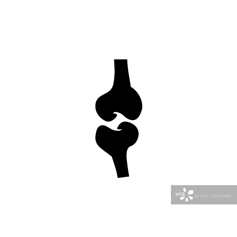 人膝关节骨骼的关节软骨实心结构图片素材