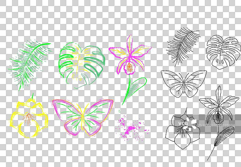 热带植物的自然物体剪贴画图片素材