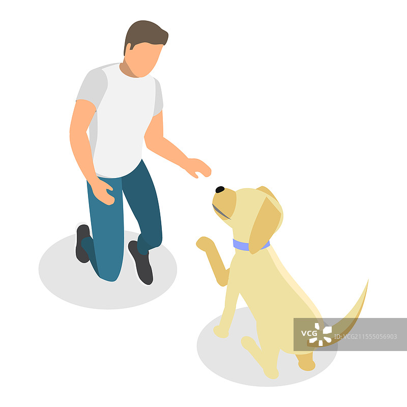 3D等距平面狗训练图集图片素材