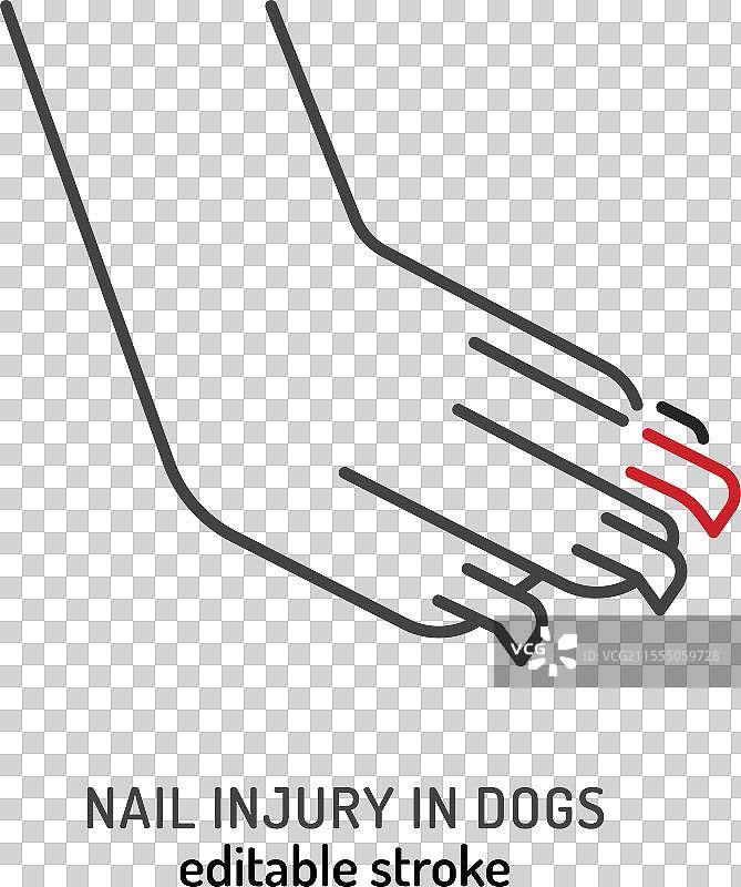 狗腿部创伤图标插图图片素材