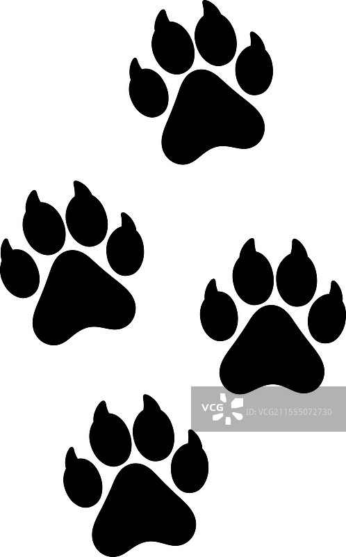 白色背景上的狗爪印设计图片素材