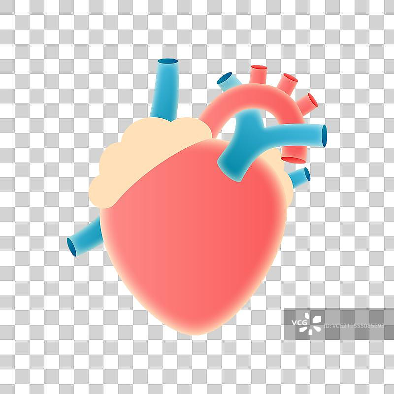 人体器官心脏矢量元素图片素材