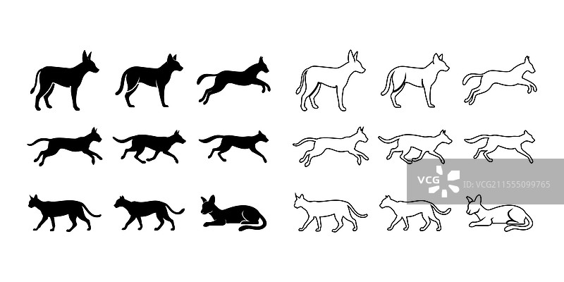 豹猫轮廓套件图片素材