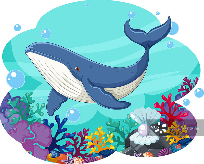 一只鲸鱼在五彩斑斓的水下景色中滑行图片素材