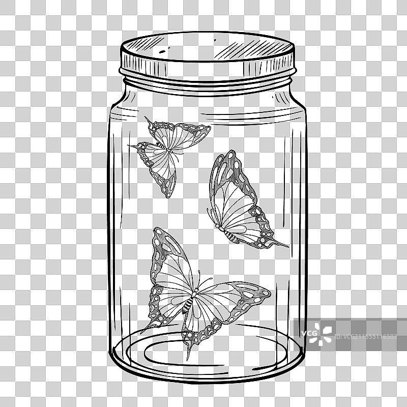 玻璃罐中的蝴蝶图片素材