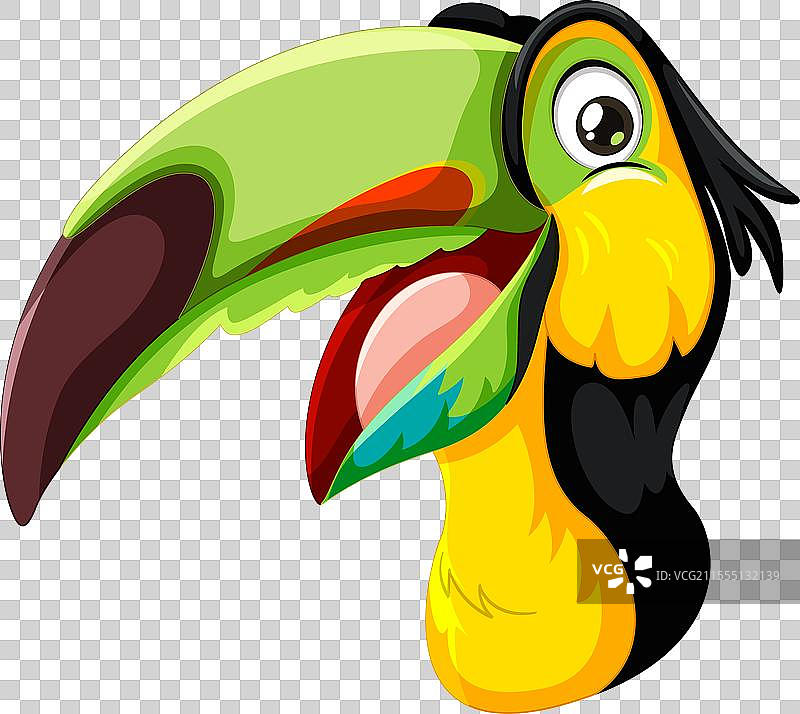 热带巨嘴鸟的生动艺术作品图片素材