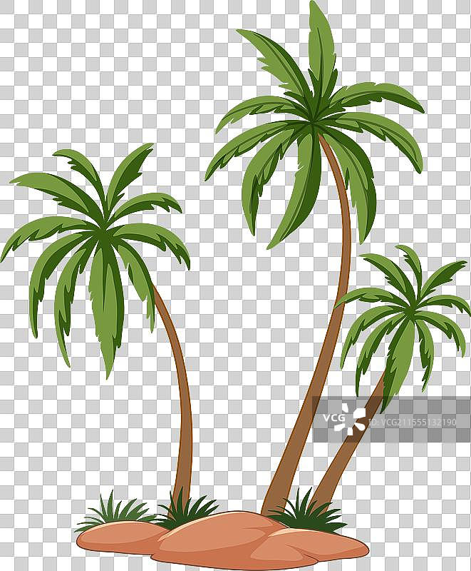 三棵棕榈树在一个小沙滩岛上图片素材