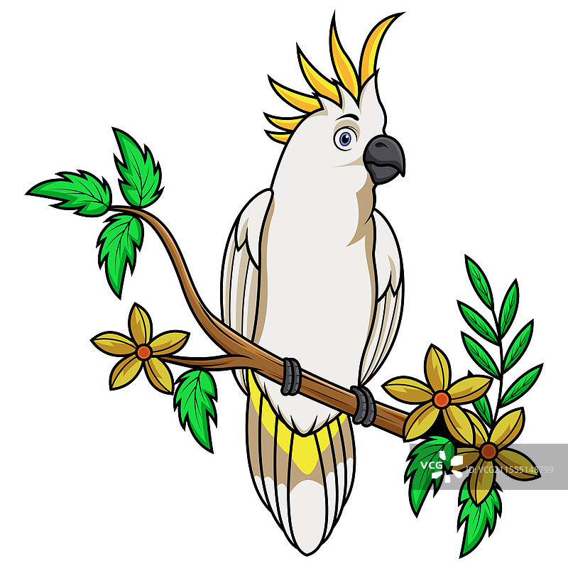 卡通鹦鹉坐在树枝上图片素材