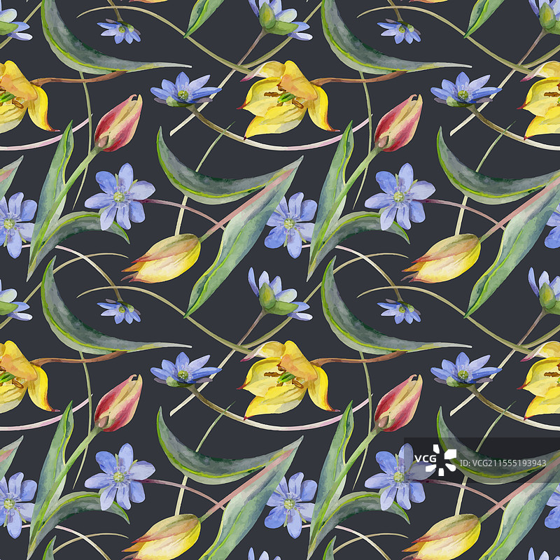 春天的花朵：白色森林银莲花和报春花图片素材