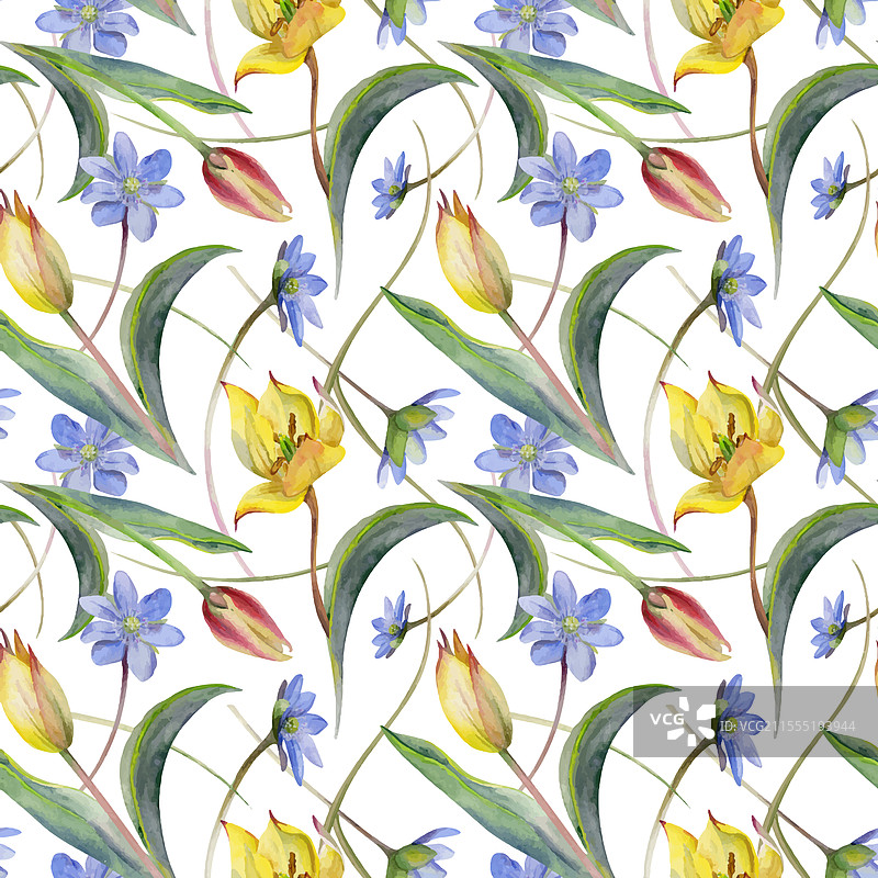 春天的花朵：白色森林银莲花和报春花图片素材