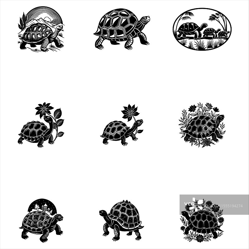 乌龟图片素材