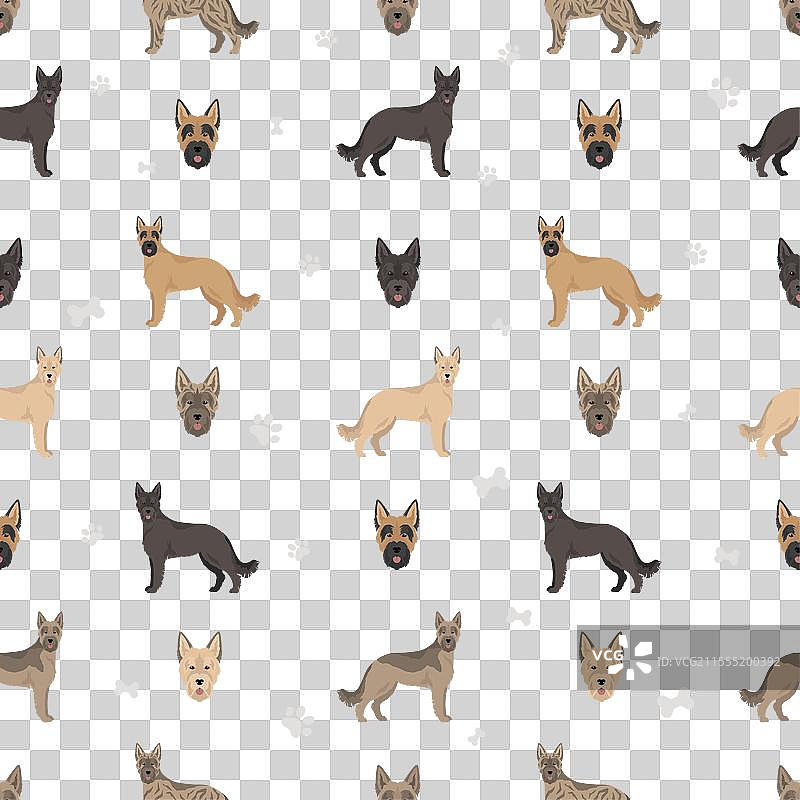 阿登牛头犬无缝图案不同设计图片素材
