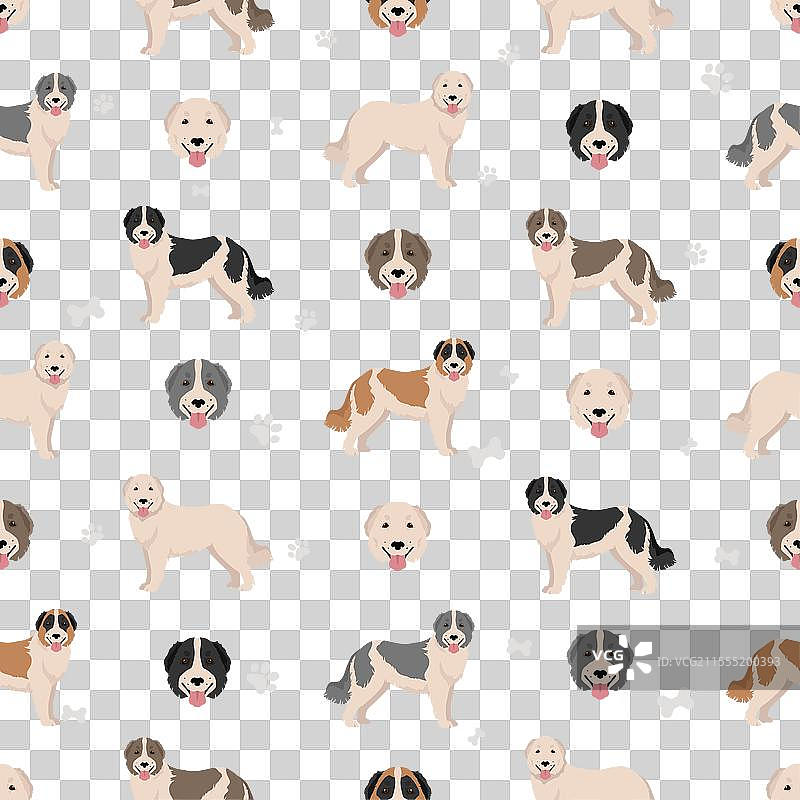 布科维纳牧羊人无缝图案不同的外套图片素材