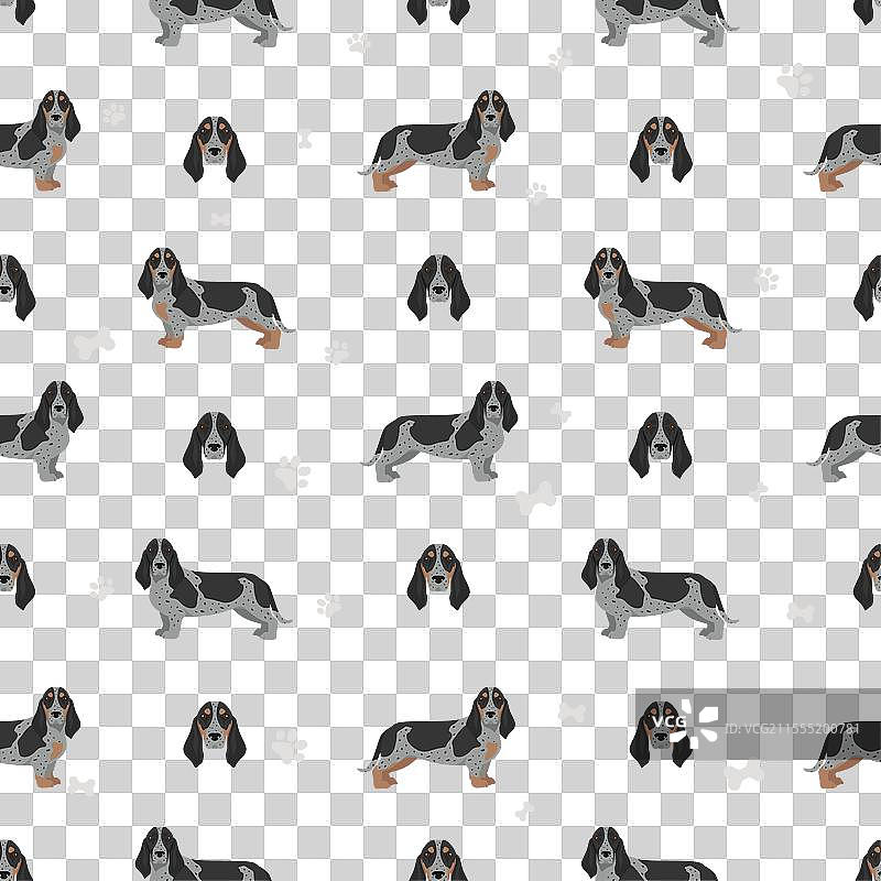 巴塞特蓝色的加斯科涅犬，所有颜色无缝图案图片素材