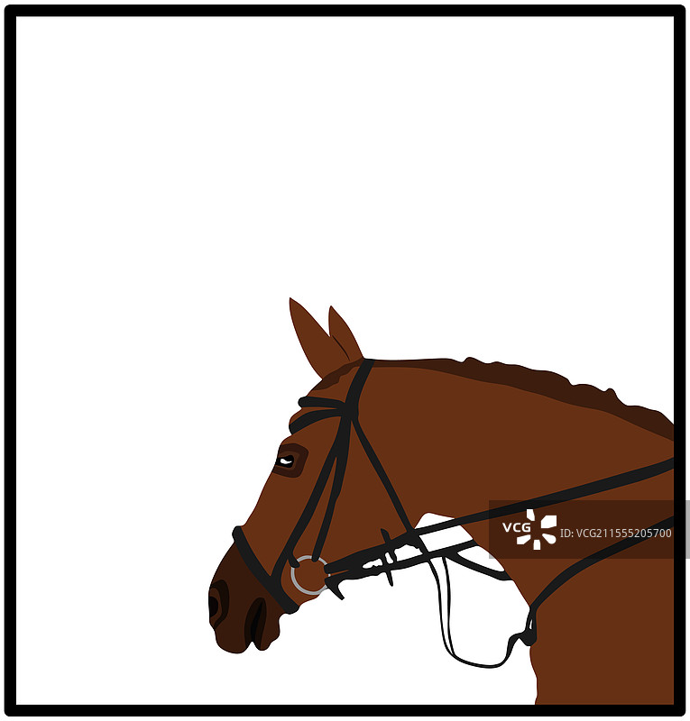 孤立的马头肖像图片素材