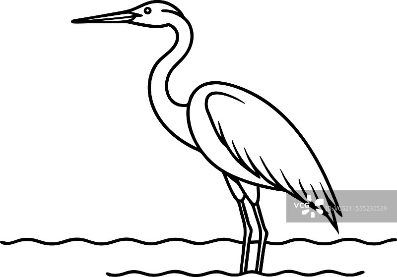 优雅的白鹭鸟线条艺术画图片素材