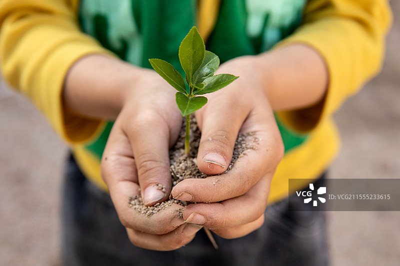 儿童捧着一个植物幼苗图片素材