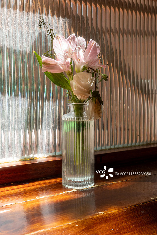 阳光照在窗台边的花瓶图片素材