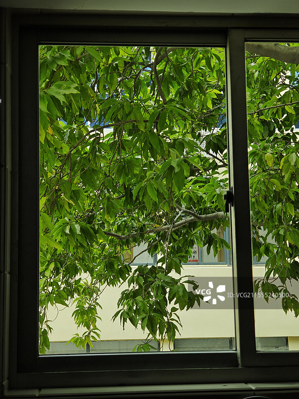 窗外春色图片素材